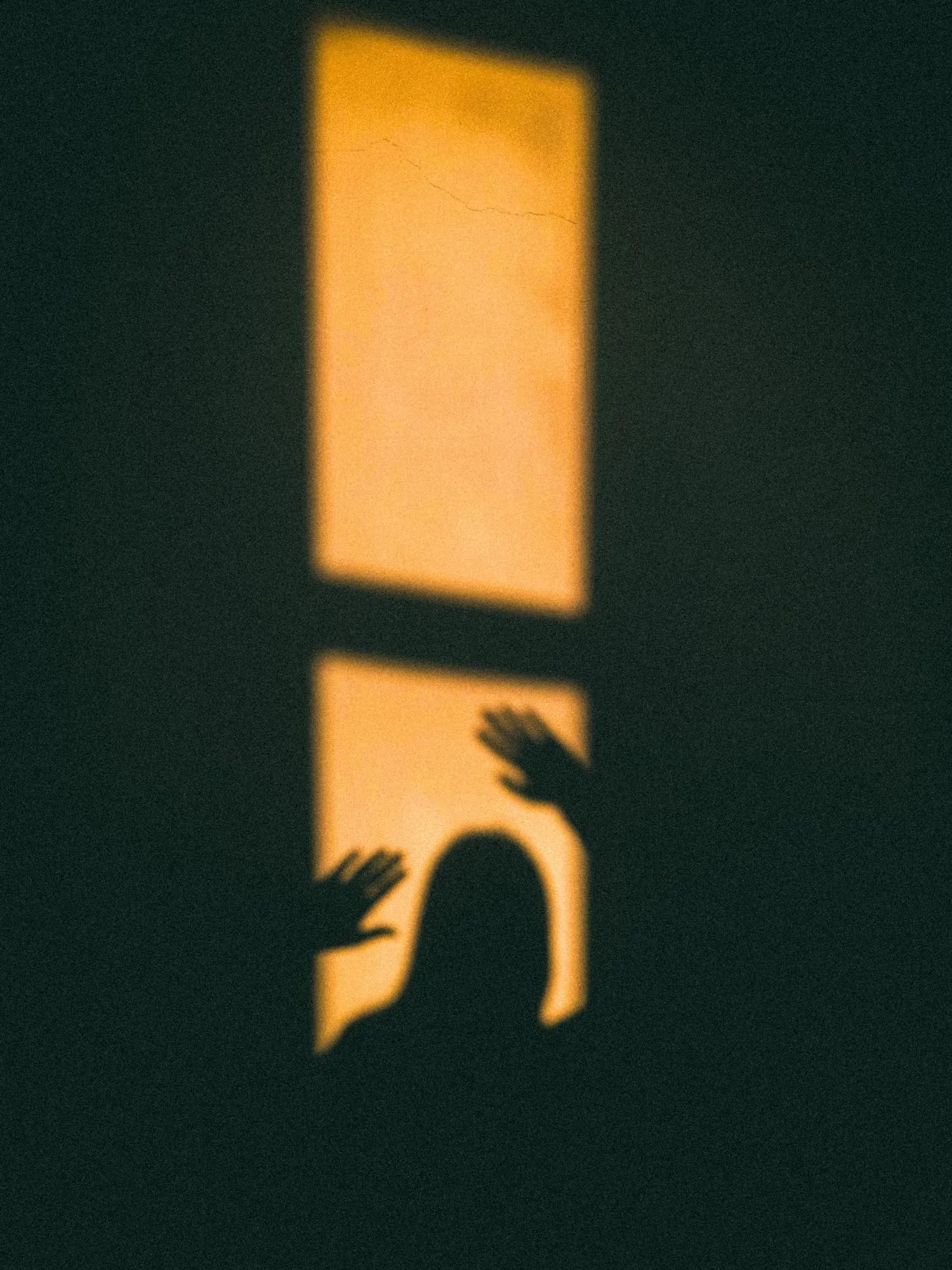 Schatten einer Person im warmen Fensterlicht auf einer dunkelgrünen Wand